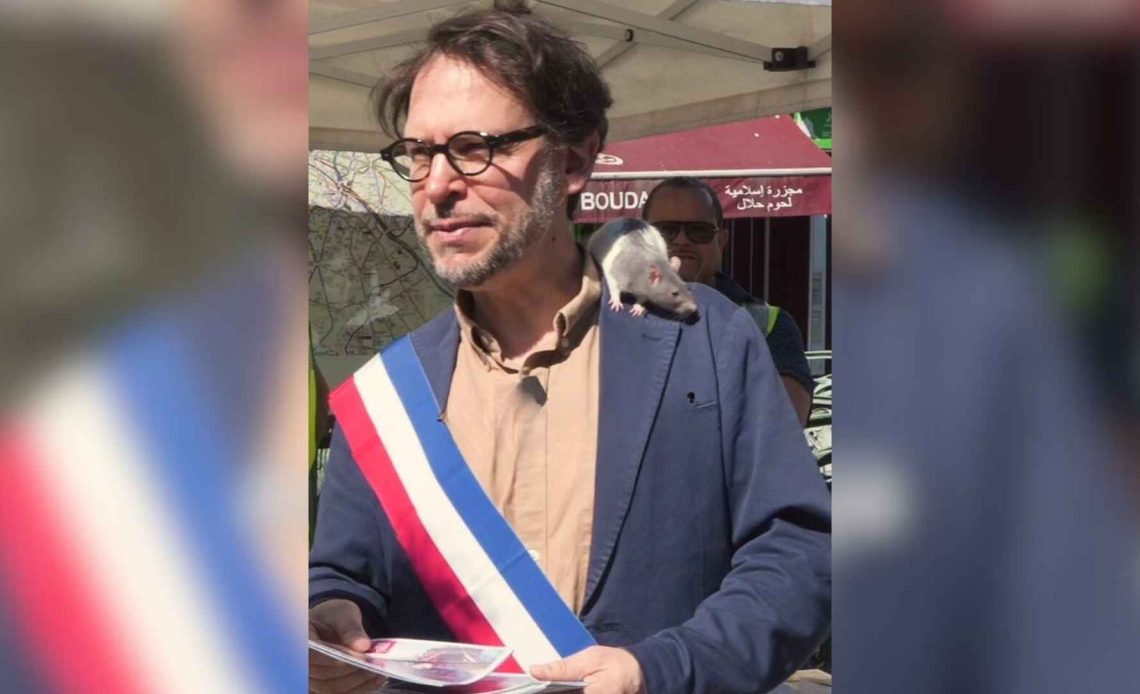 Francia-ratas-